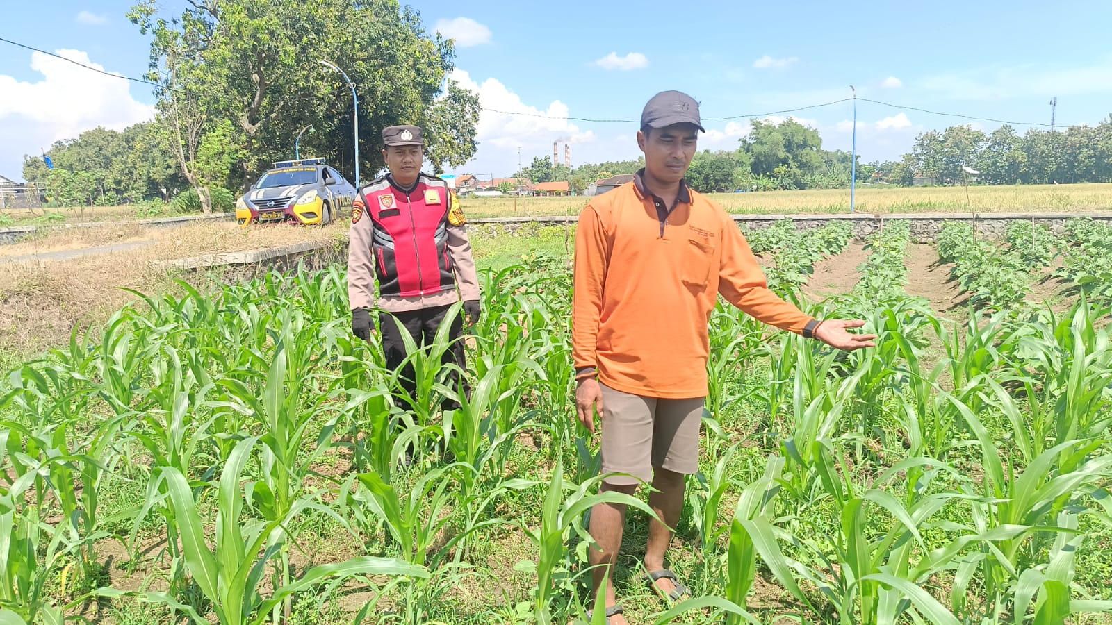 Petani Singkalan dan Polisi Turun ke Pekarangan, Dukung Program Ketahanan Pangan