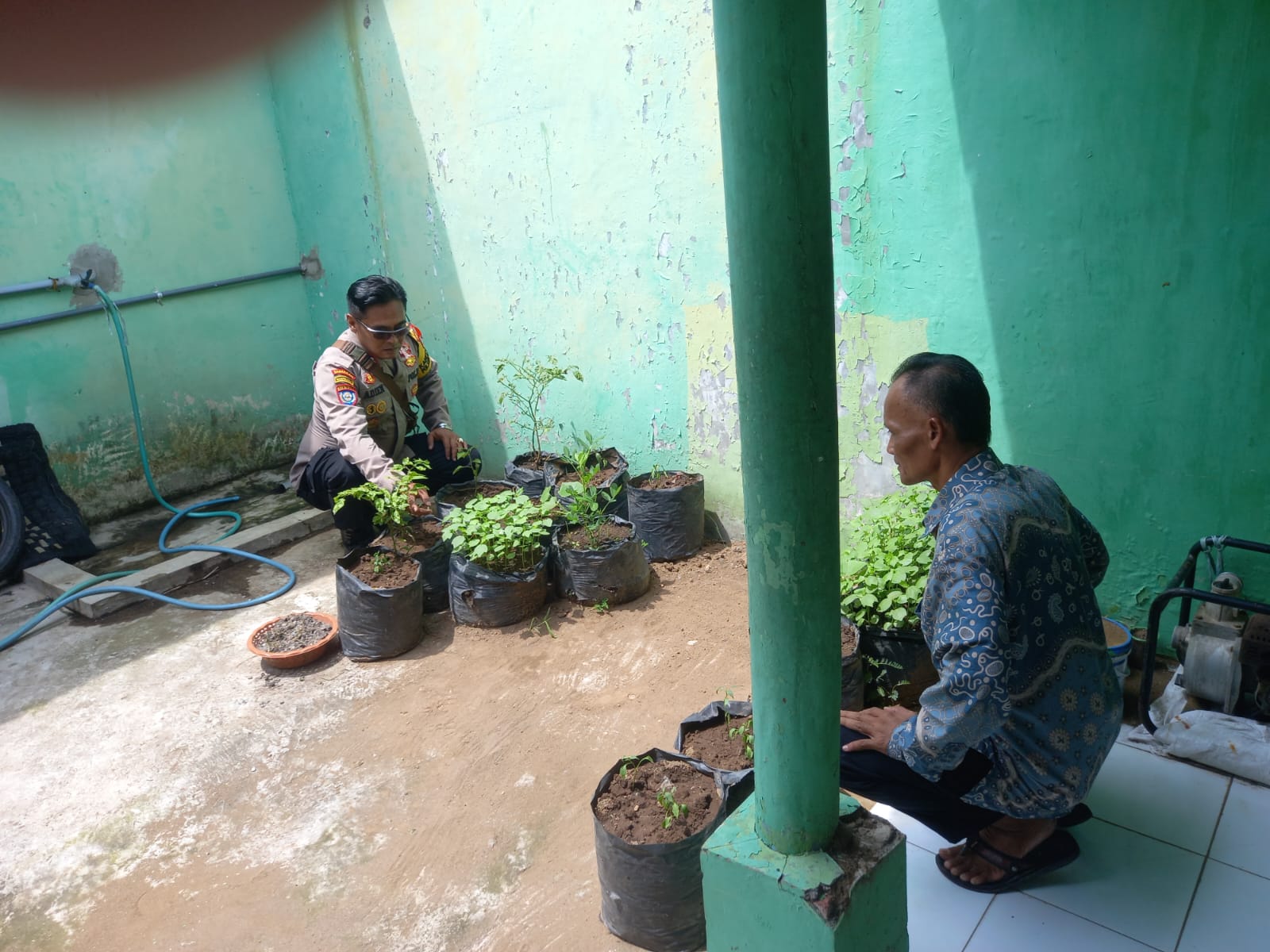 Polsek Krembung dan Pemdes Lemujut Rawat Cabai untuk Swasembada Pangan