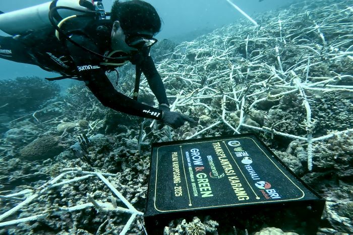 Peringati Hari Lingkungan Hidup Sedunia, BRI Pertegas Komitmen dalam Menjaga Ekosistem Lingkungan 