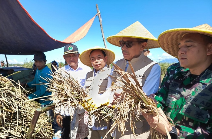 Panen Raya Serentak, Wali Kota Malang Sebut Harga Padi Dibeli Tinggi
