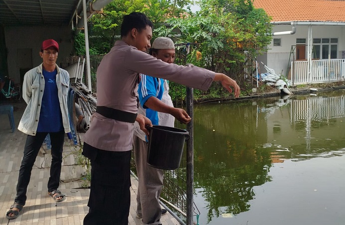 Kapolsek Sedati Harapkan Budidaya Ikan Nila Meningkatkan Hasil Produksi untuk Swasembada Pangan Mandiri