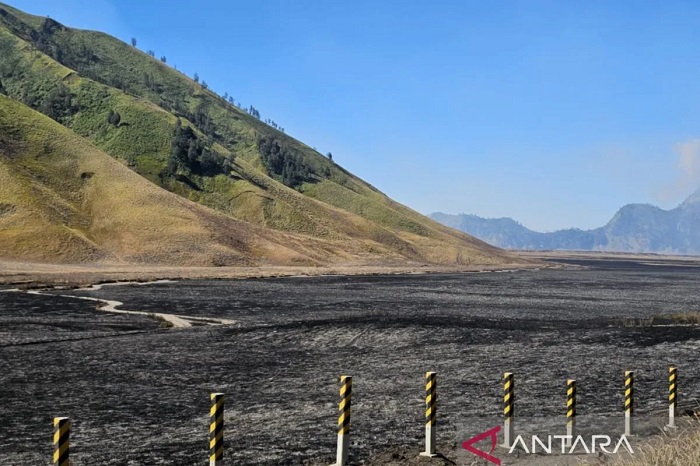 Menhut Serahkan Penyelidikan Karhutla Bromo kepada Aparat Penegak Hukum