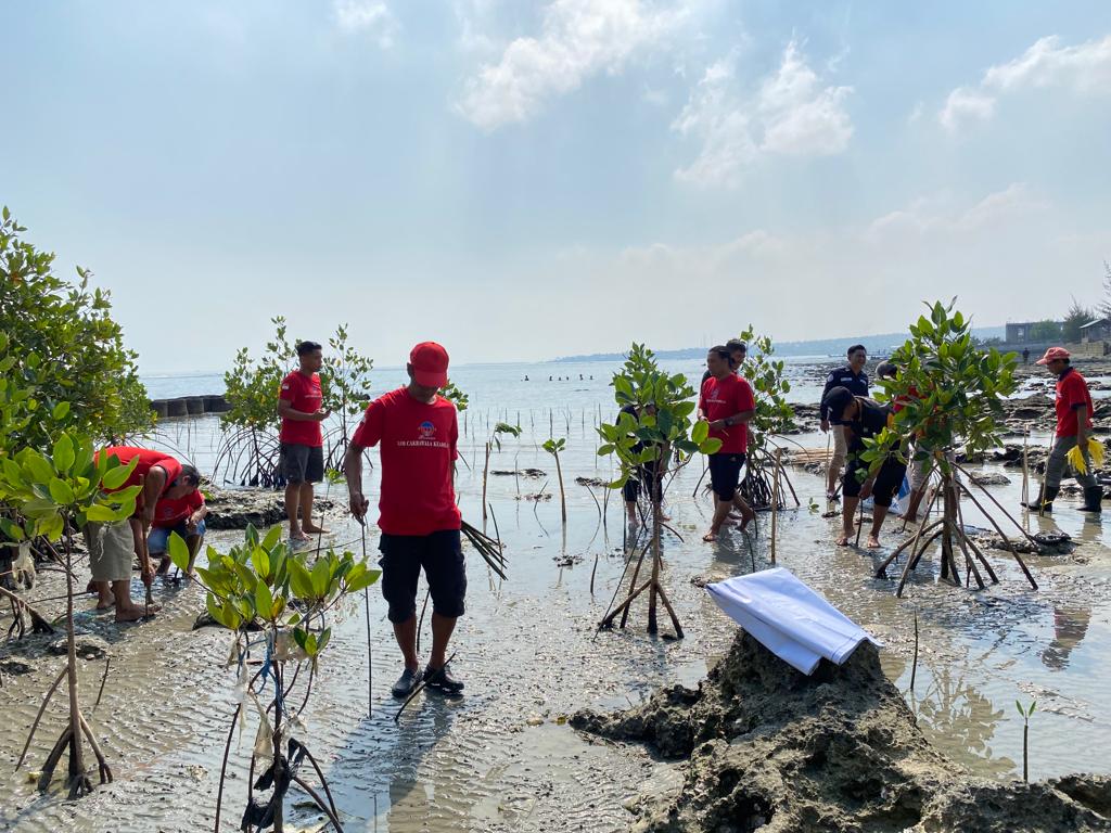 Sambut HUT Ke-72 Humas Polri,  Polres Lamongan Tanam 300 Mangrove di Bibir Pantai Paciran