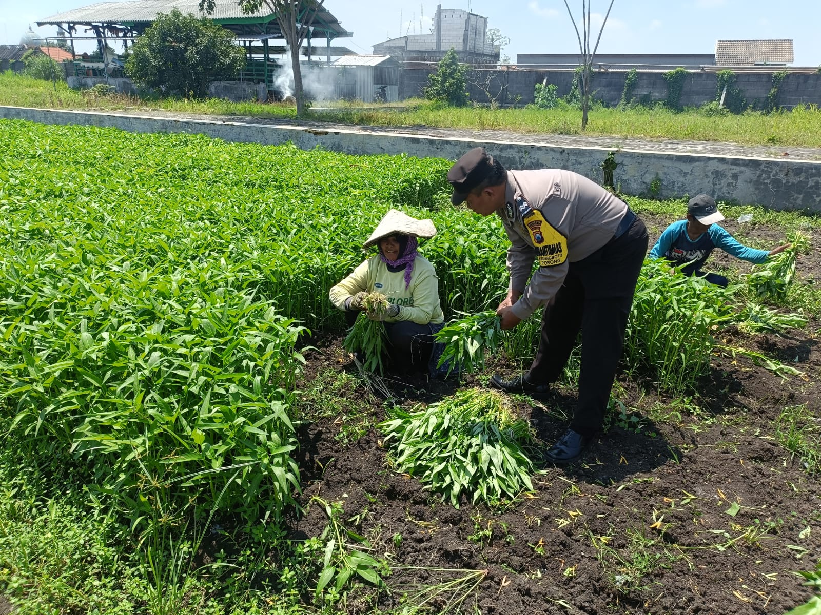 Bhabinkamtibmas Kedungboto Dampingi Warga Kembangkan Lahan Produktif untuk Ketahanan Pangan