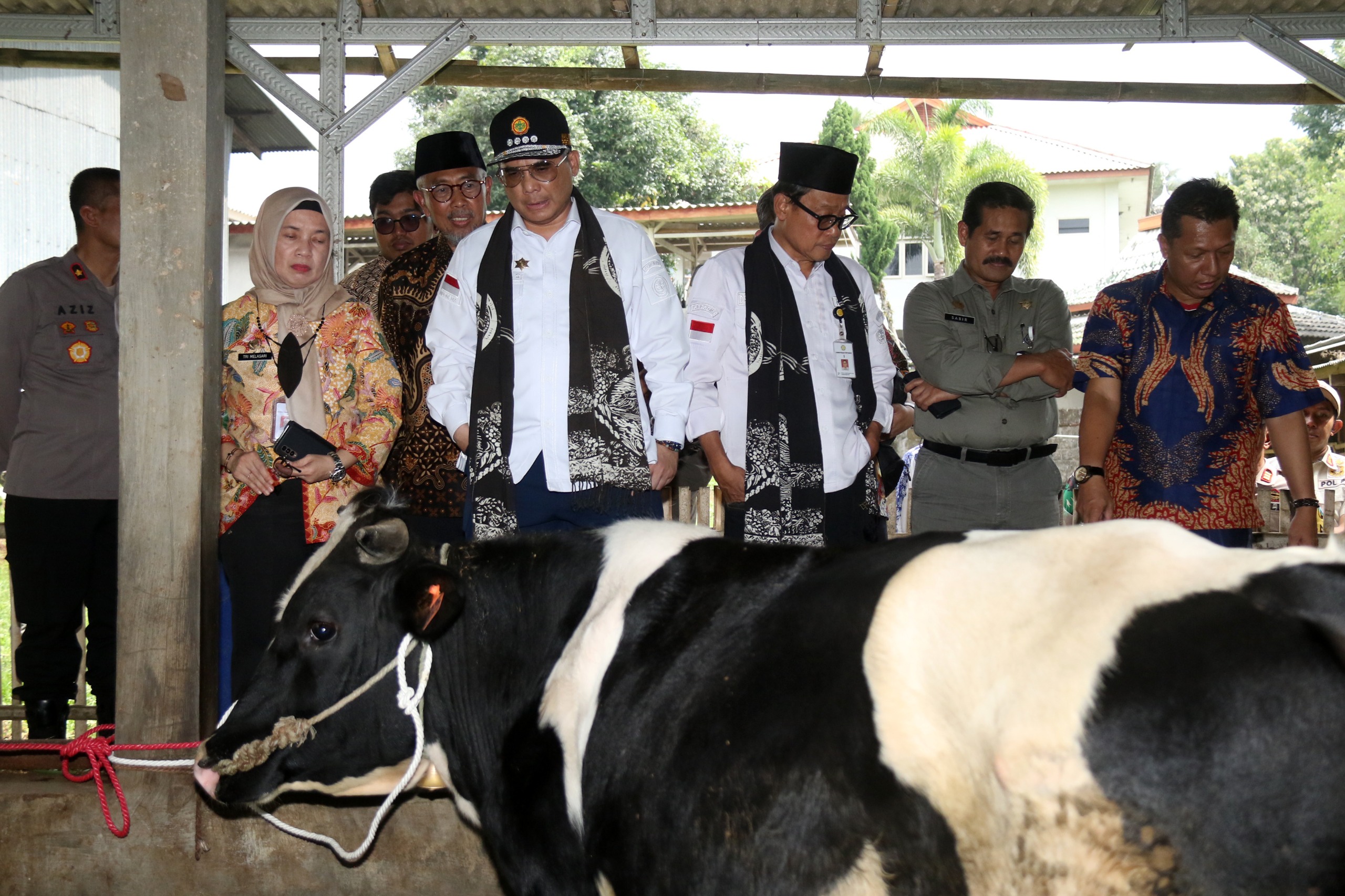Wamen Pertanian Dicurhati Petani Susu Puspo Kabupaten Pasuruan
