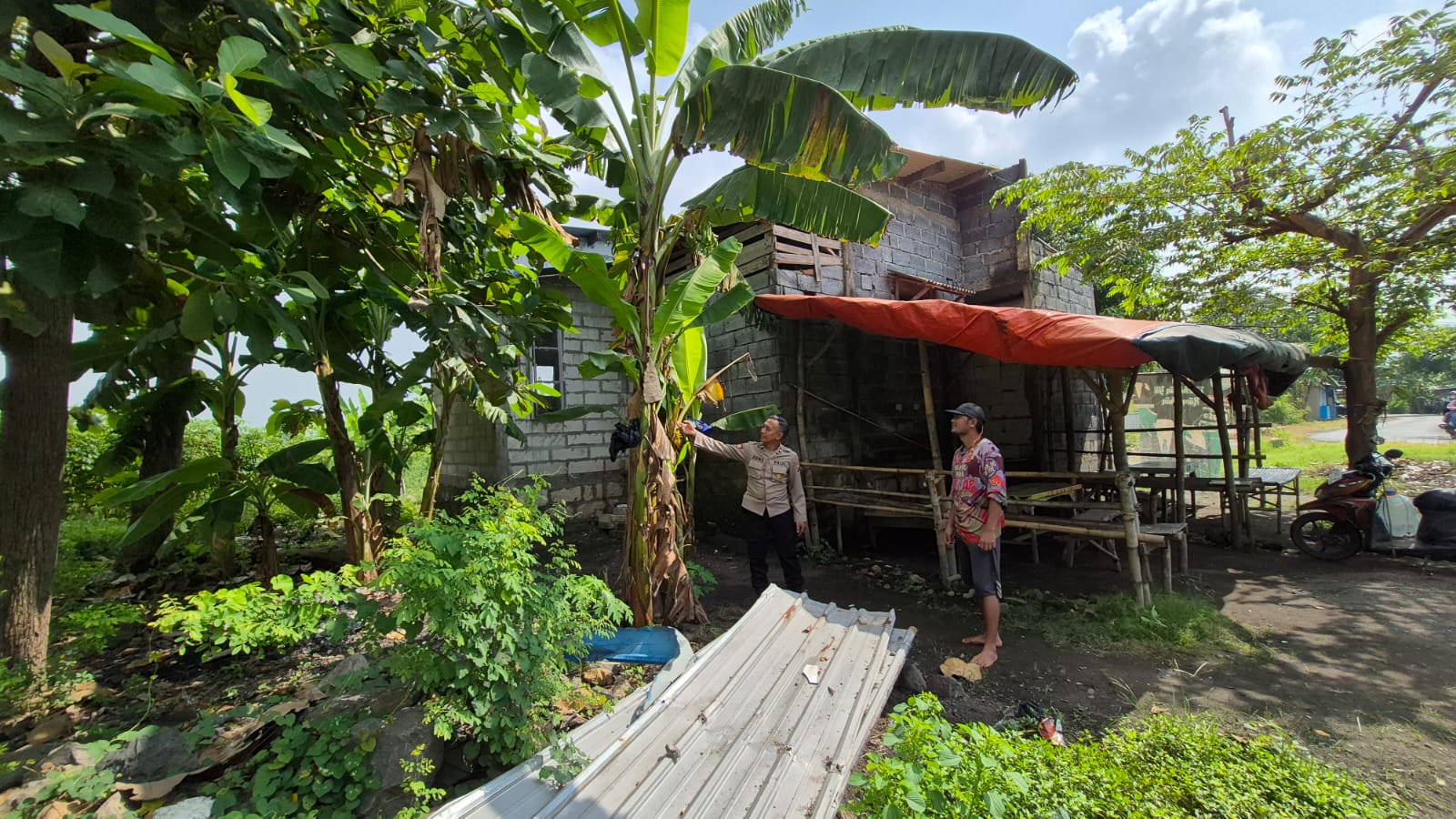 Bhabinkamtibmas Polsek Wonoayu Dampingi Warga Kelola Tanaman Pisang untuk Program Ketahanan Pangan