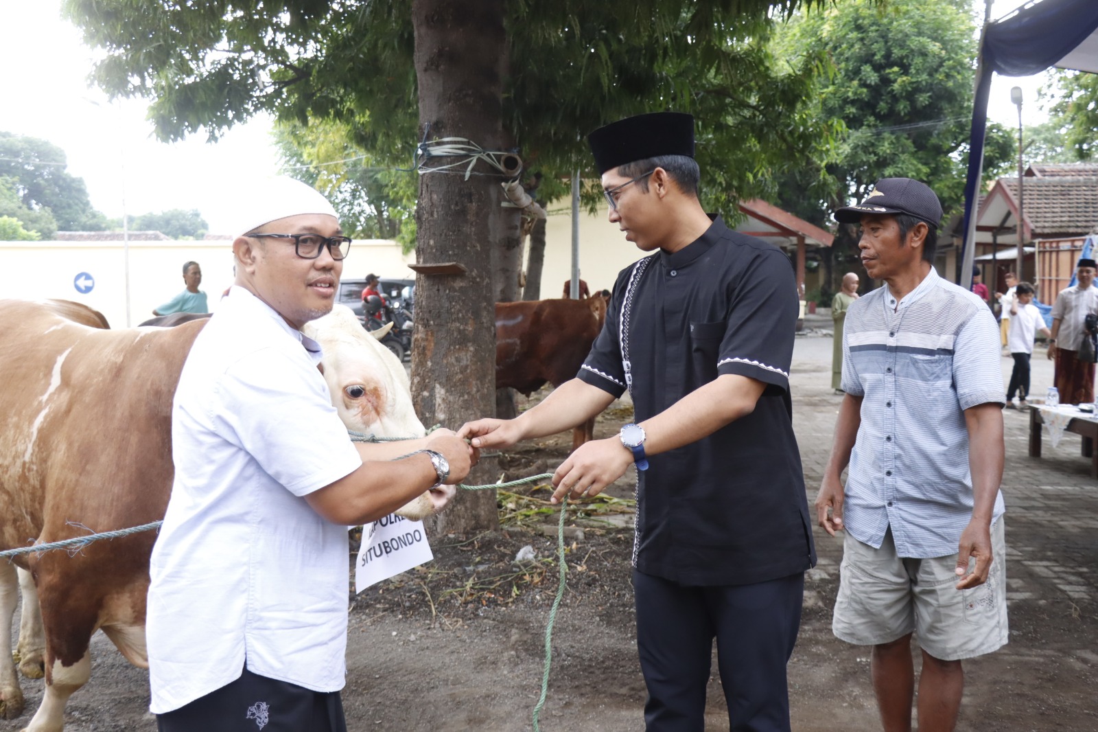 Polres Situbondo Kurban 9 Sapi dan 48 Kambing