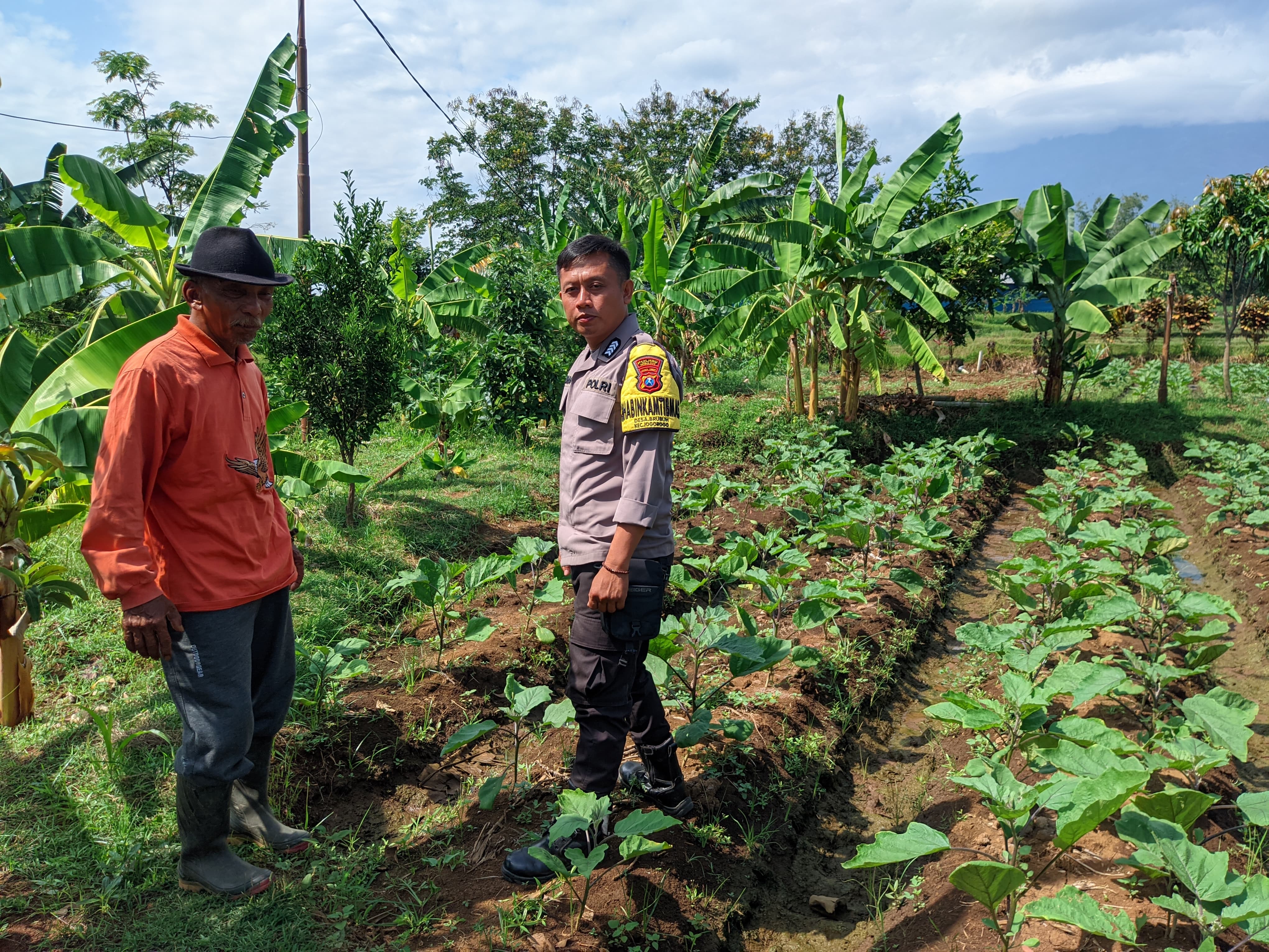 Dorong Ketahanan Pangan di Ngawi, Polsek Jogorogo Monitoring Pemanfaatan Pekarangan