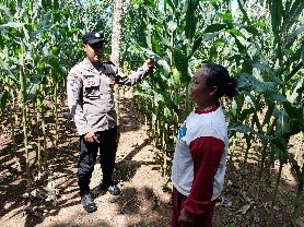 Implementasi Asta Cita Presiden, Polresta Banyuwangi Dukung Ketahanan Pangan