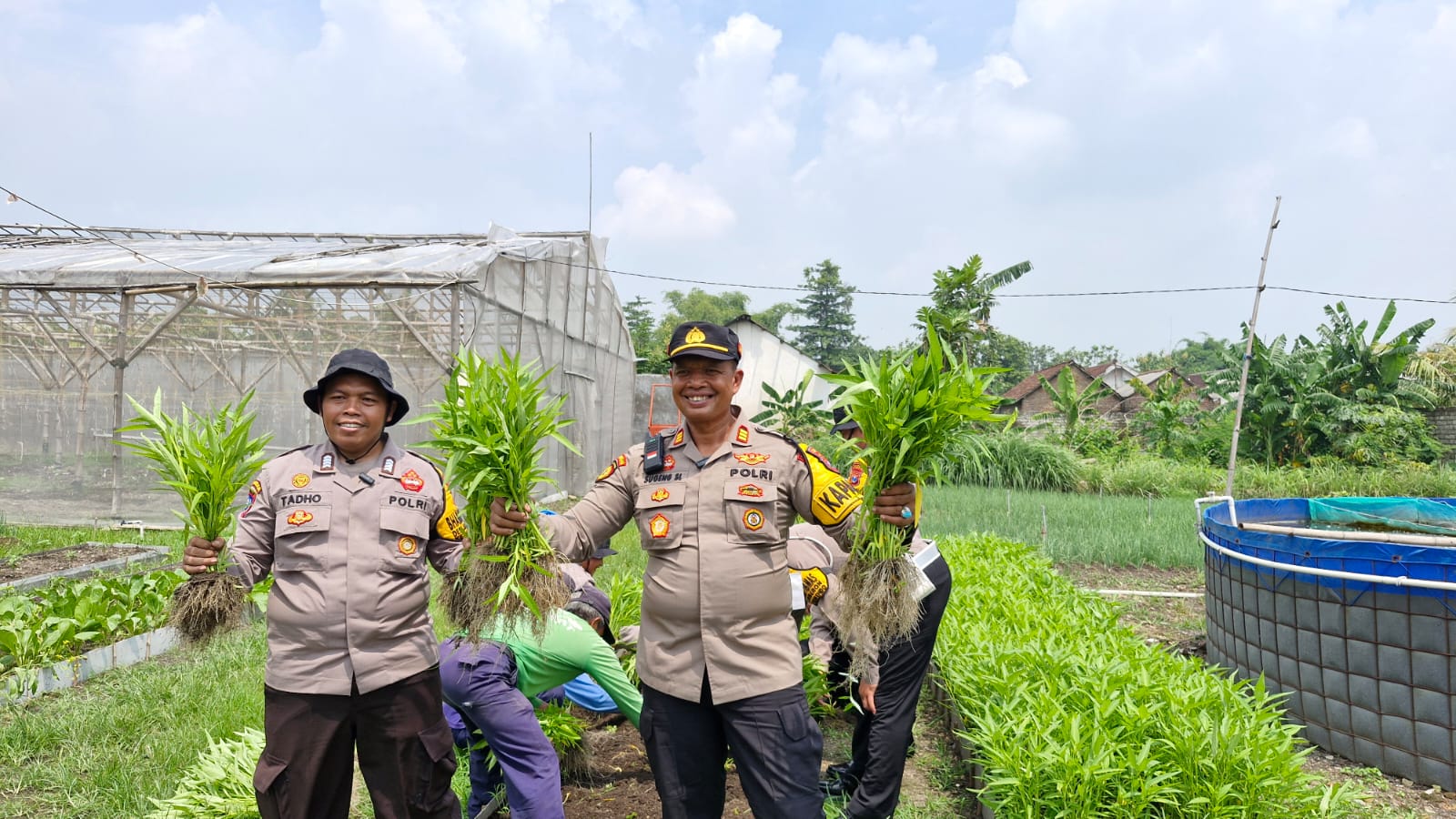 Polisi Bersama Warga Panen Kangkung