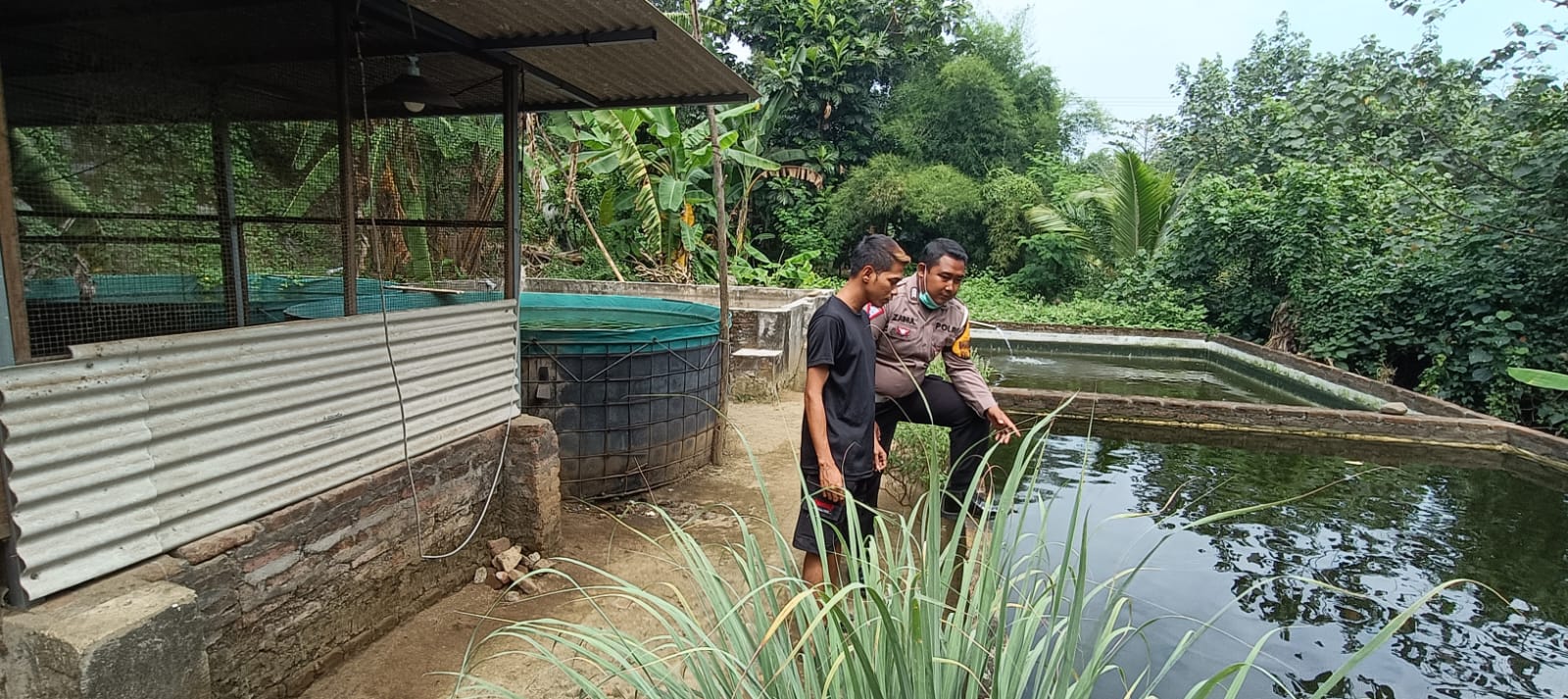 Kapolsek Tarik Apresiasi Budi Daya Lele Warga Desa Kramattemanggung
