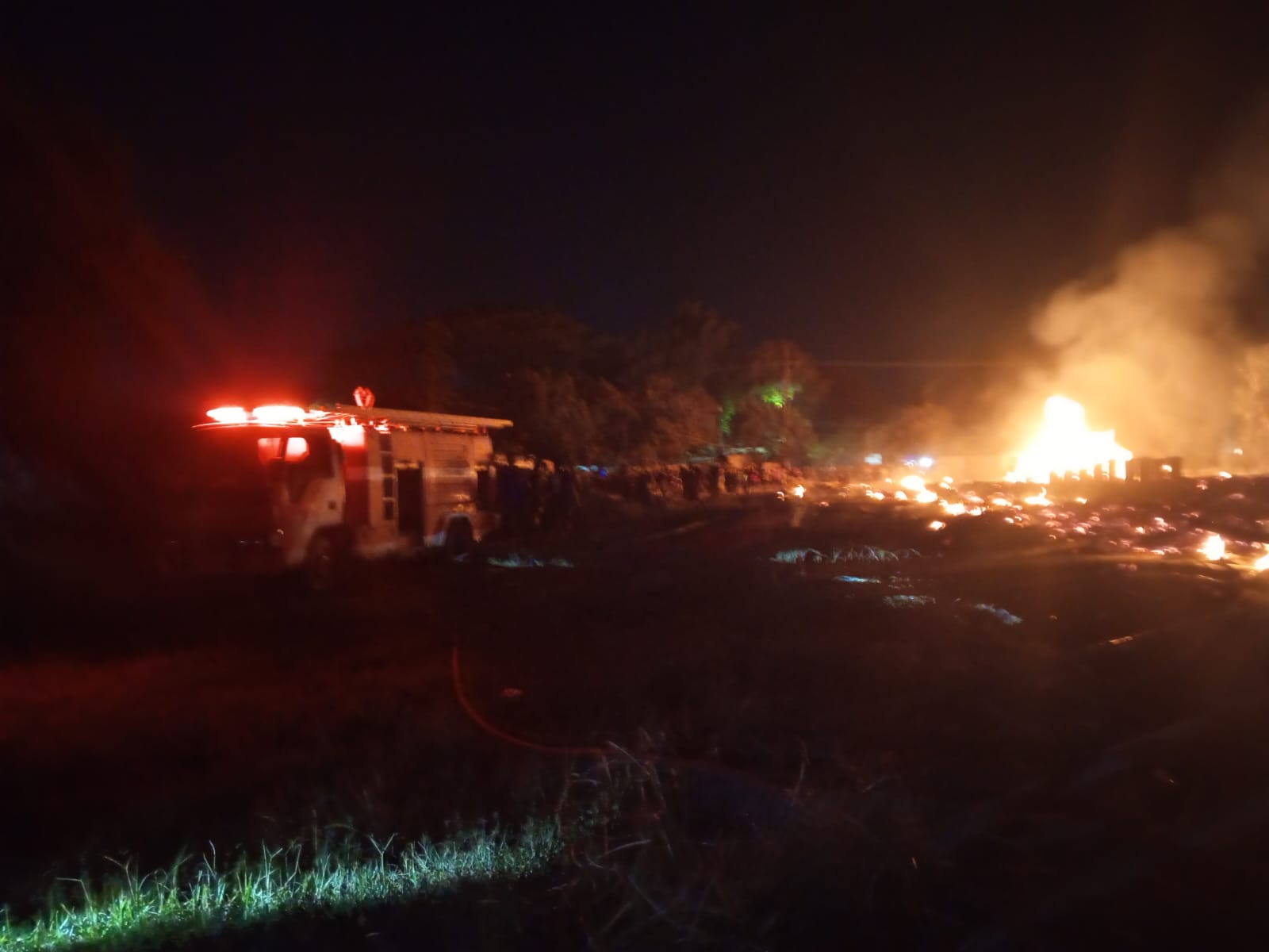 Dua Gudang PTPN I Regional IV di Jember Ludes Dilalap Api