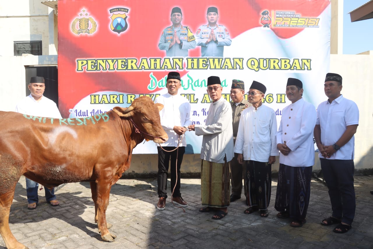 Hari Raya Kurban, Polresta Sidoarjo Salurkan 35 Sapi dan 55 Kambing