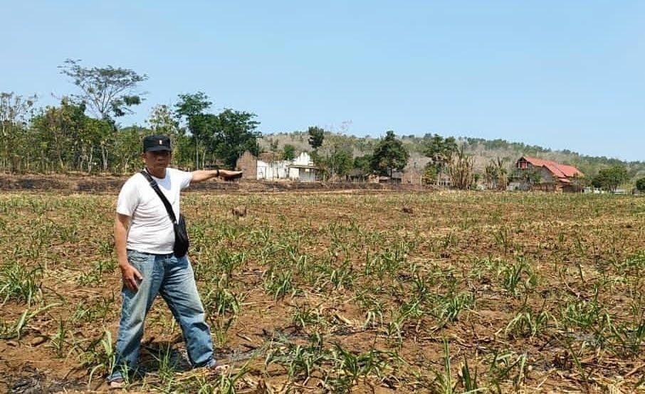 Korban Pemalsuan KTP Surati Kapolda Jatim, 6 Tahun Laporan Jalan di Tempat