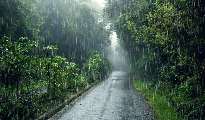 Kenapa Hujan Punya Bau Khas? Ini Penjelasan Ilmiah tentang Petrichor