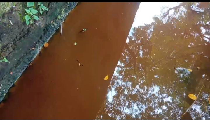 Diduga Cemari Sungai dan Tak Kantongi Amdal, PT Solusi Pangan Sejahtera Dikecam