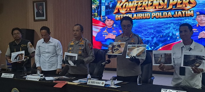 Tujuh Burung Dilindungi Diamankan dari Pelabuhan Probolinggo, Mualim Kapal Diperiksa