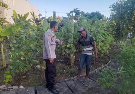 Dukung Ketahanan Pangan, Polsek Lakarsantri Dampingi Warga Lidah Wetan Manfaatkan Lahan Kosong