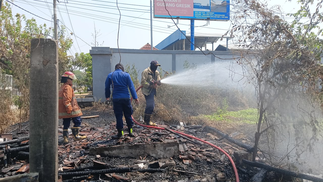 Bakar Alang-alang, Gubuk di Tepi Jalan Raya Benjeng Gresik Ludes Terbakar