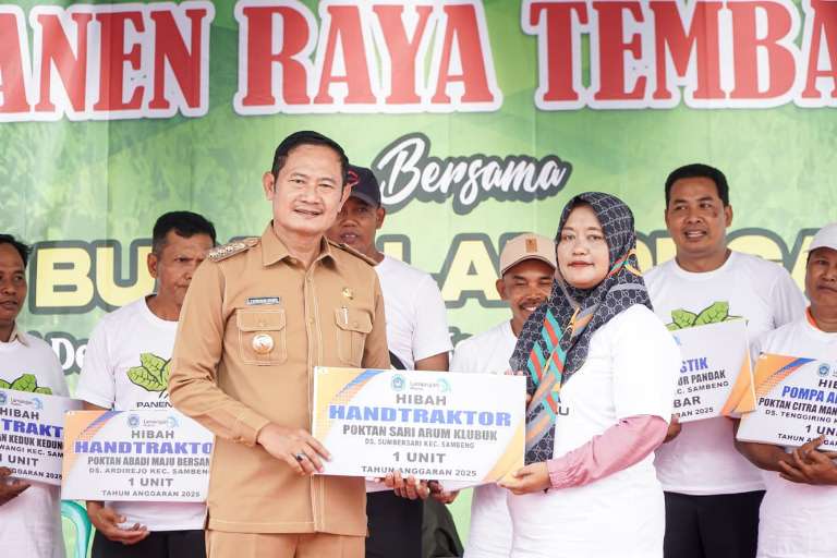 Kabupaten Lamongan Panen Raya Tembakau di Tengah Kemarau Basah