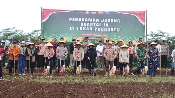 Kapolresta Banyuwangi Dorong Penguatan Ketahanan Pangan Lewat Penanaman Jagung Kuartal IV 2025