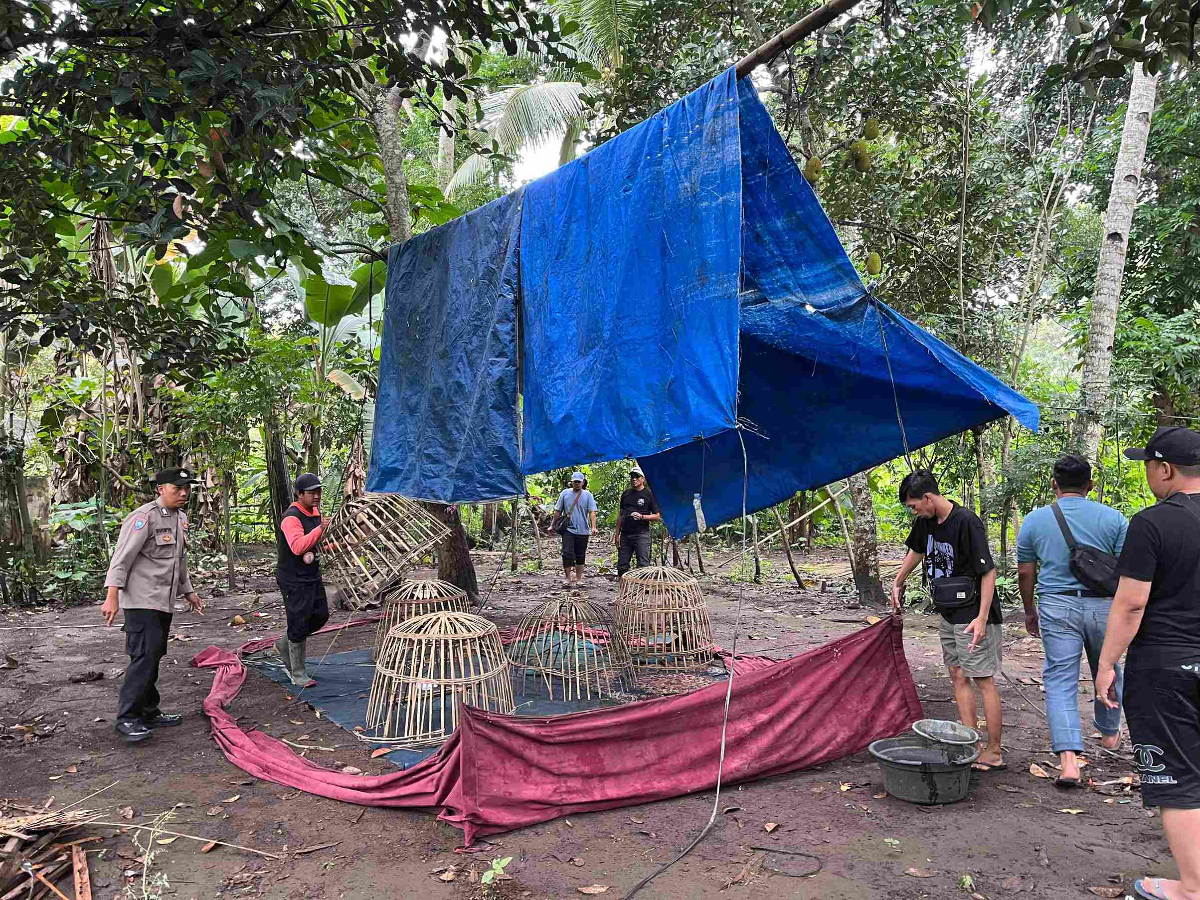 Gerak Cepat Polresta Banyuwangi Respons Informasi Warga, Arena Sabung Ayam di Singojuruh Dibongkar