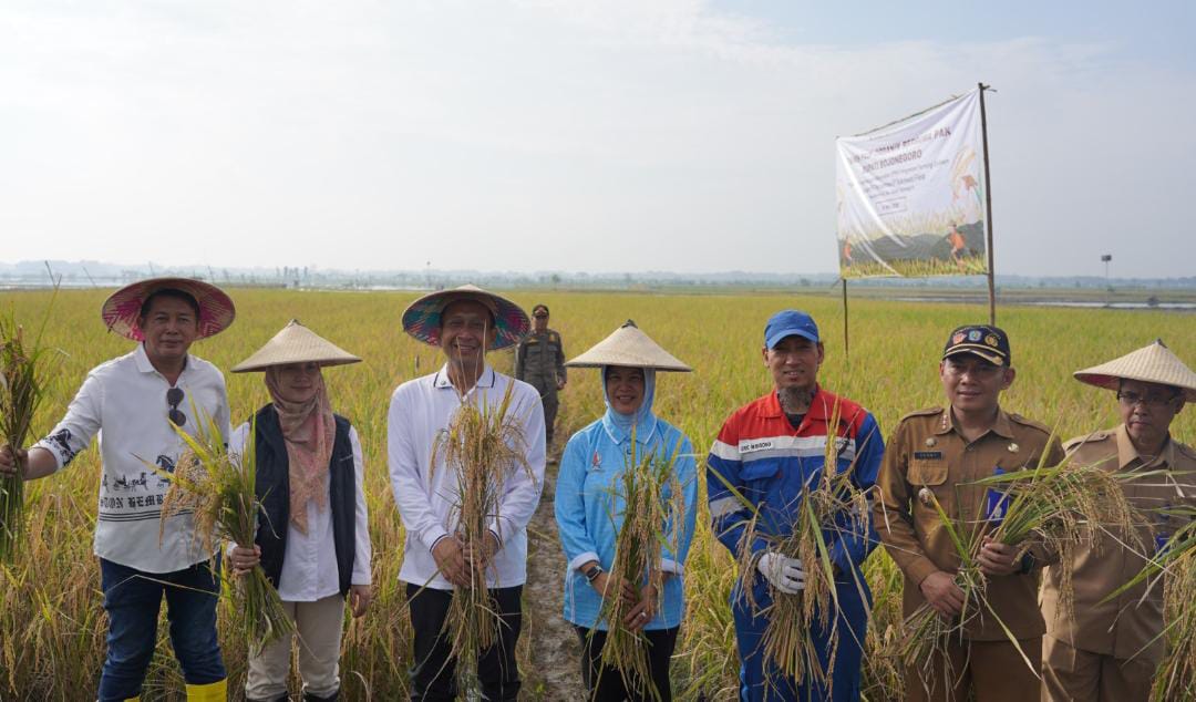 Bupati-Wabup Panen Raya Padi Organik di Bojonegoro, Buktikan Tanah Subur dan Petani Sejahtera