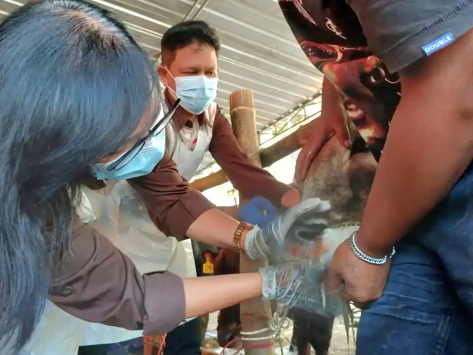 DKP3 Kabupaten Pasuruan Kerahkan 100 Pengawas Hewan Kurban