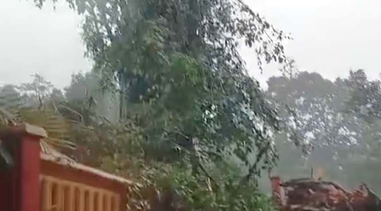 Puting Beliung Terjang Pasrepan Pasuruan, Rumah Rusak dan Jalan Tertutup Pohon Tumbang