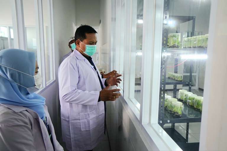 Jaga Swasembada Pangan, Pemkot Madiun Bangun Laboratorium Kultur Jaringan