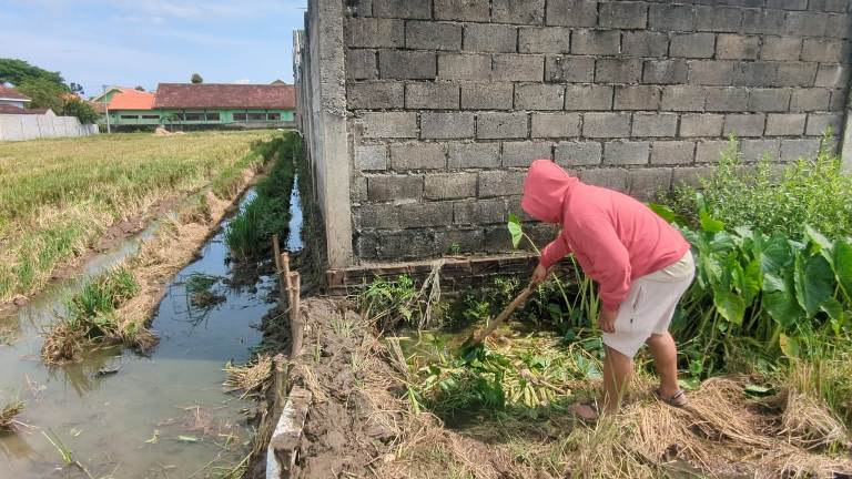 Sawah Petani Madiun Diduga Tercemar Limbah Sisa Makanan SPPG Assalam