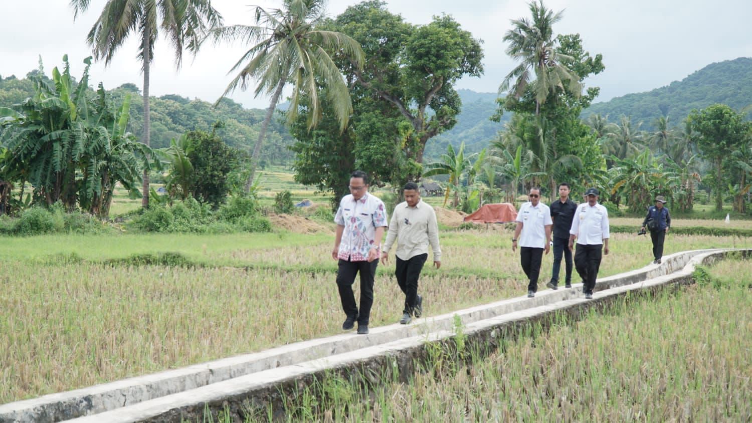 Pipa Irigasi Sepanjang 39 Kilometer Terpasang, Petani Bawean Kini Bisa Tenang