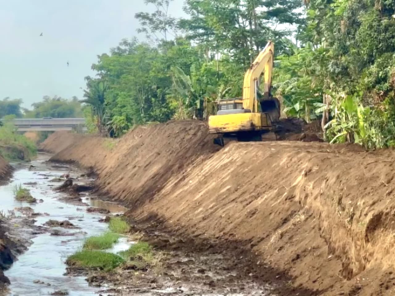 Pemkab Pasuruan Percepat Normalisasi Sungai untuk Cegah Banjir