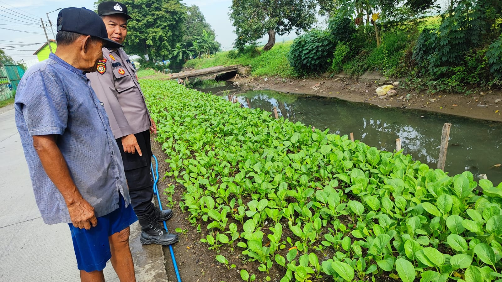 Warga Sawocangkring Manfaatkan Lahan Kosong untuk Tanaman Sayur, Dukung Program Ketahanan Pangan Nasional