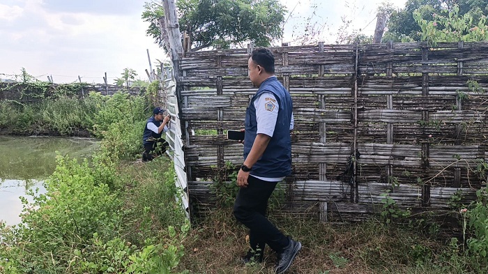 Limbah Tambak di Ujungpangkah Timbulkan Bau dan Ancam Ekosistem Pesisir, DLH Gresik Lakukan Sidak