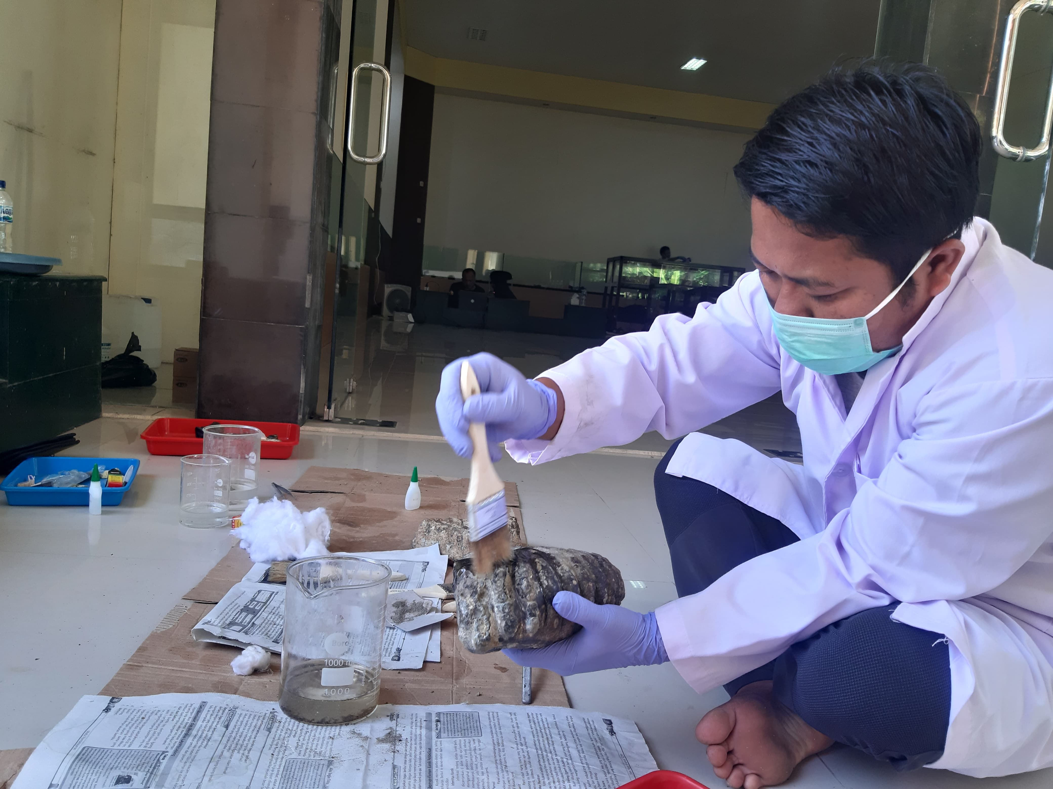 Dikbud Ngawi dan MCB Sangiran Konservasi Fosil di Museum Trinil
