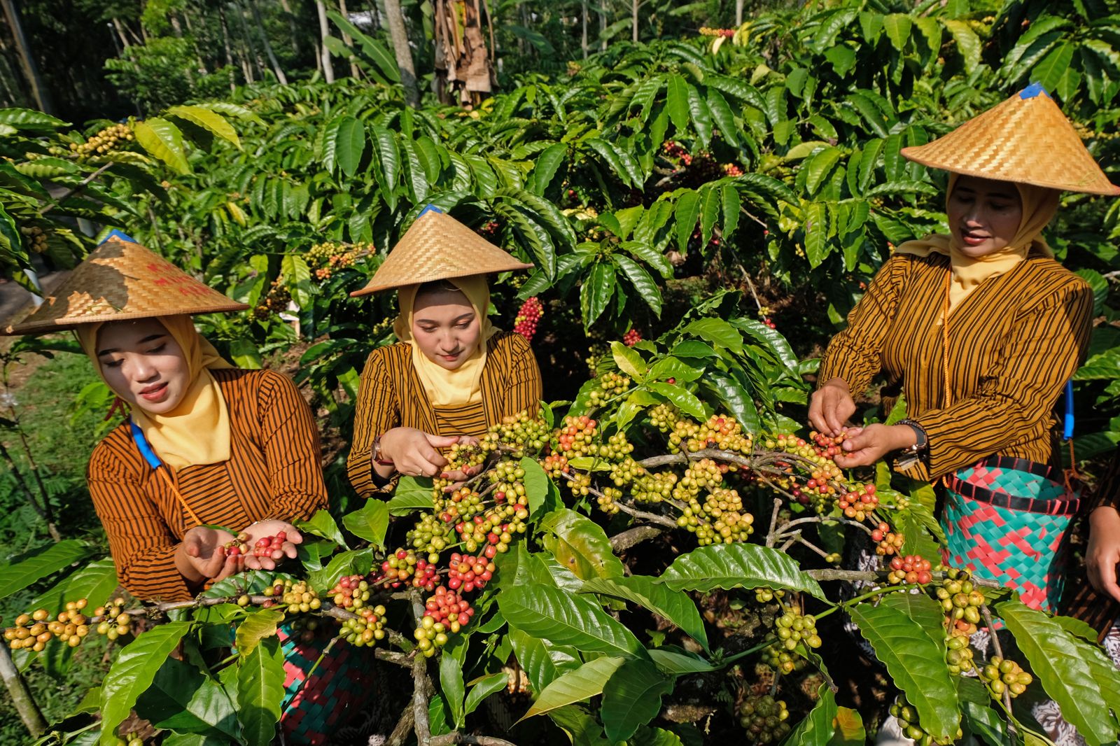 Berdayakan 14,4 Juta Pengusaha Wanita, Holding Ultra Mikro BRI Tegaskan Komitmen Ciptakan Ekonomi Inklusif 