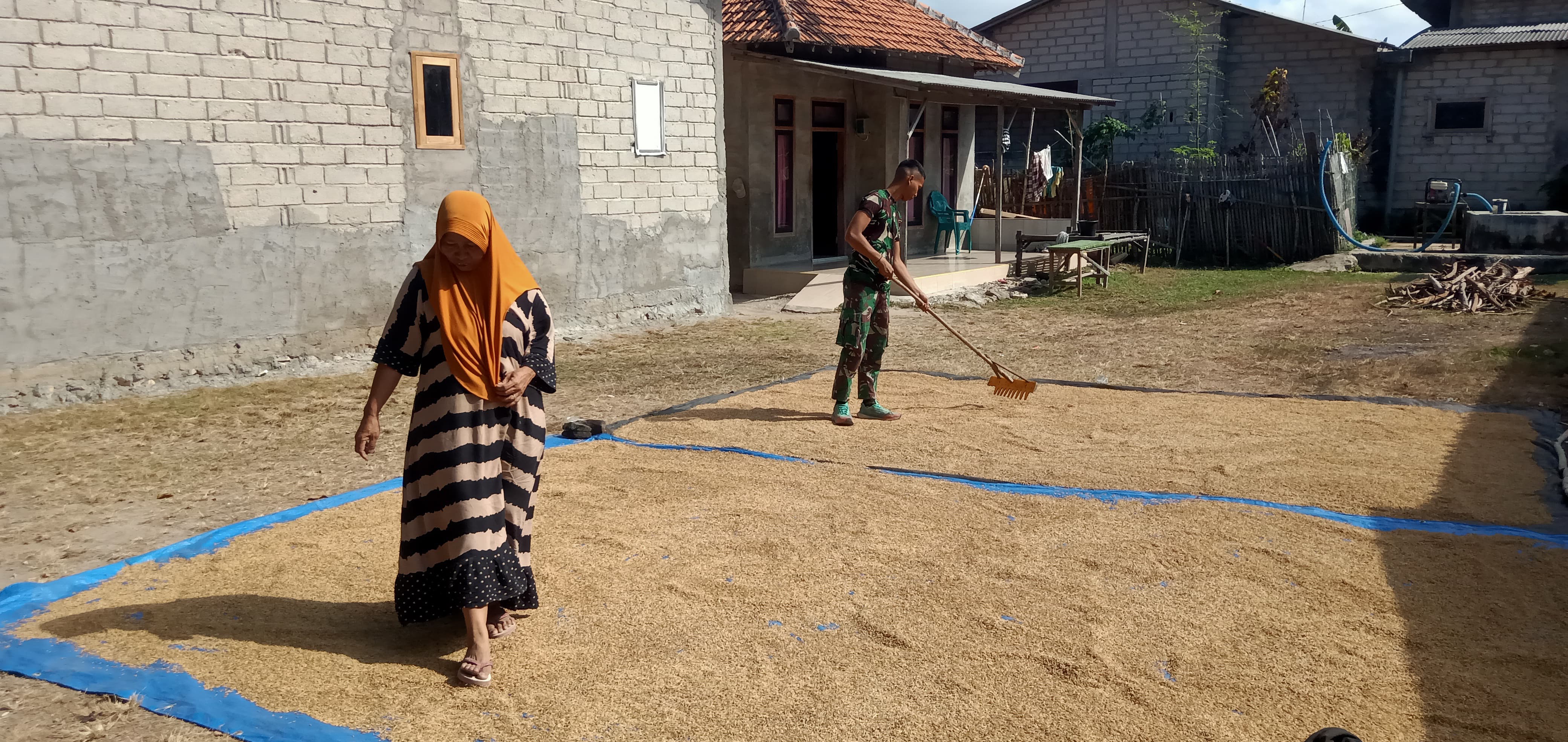 Manfaatkan Waktu Luang, Satgas TMMD ke-121 Kodim 0827/Sumenep Bantu Warga Jemur Padi