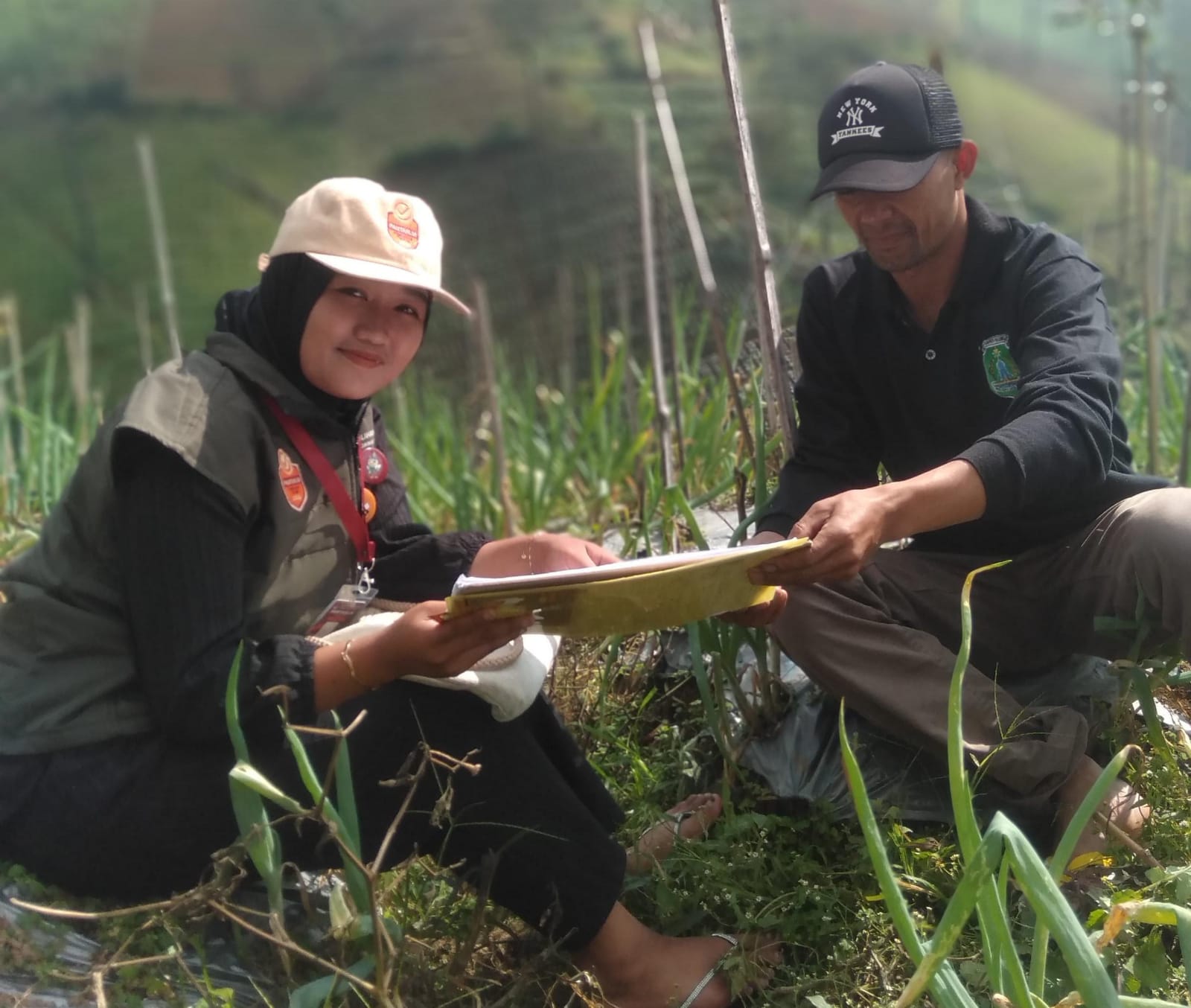 Rela Naik Turun Bukit, Pantarlih Coklit di Ladang