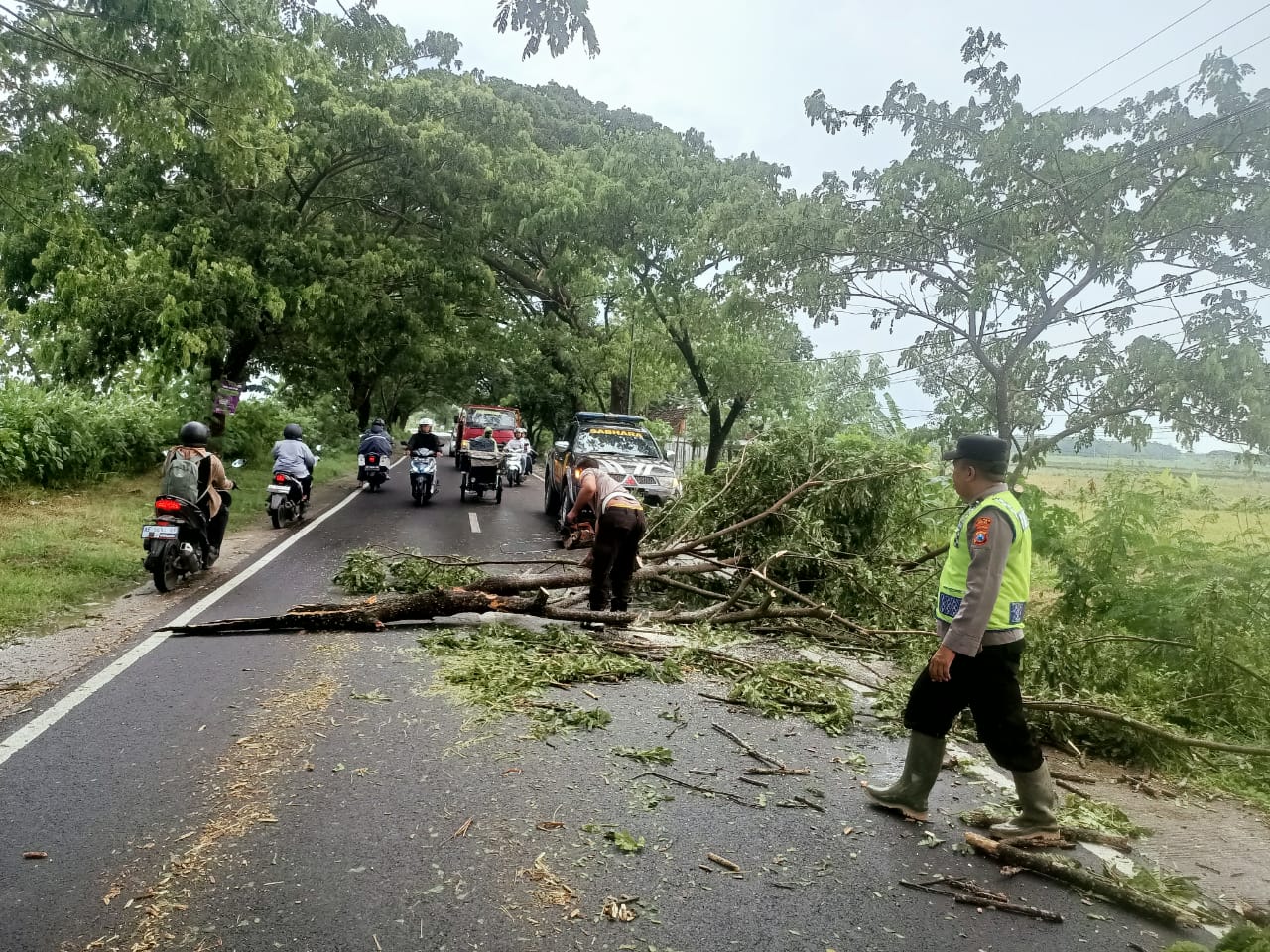 Polsek Kwadungan Potong Pohon yang Potensi Bahayakan Pengguna Jalan di Ngawi