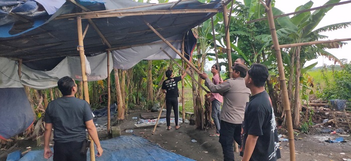 Polisi Tindak Dugaan Sabung Ayam di Desa Ploso Krembung Sidoarjo