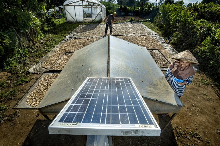 Wujudkan Komitmen Sebagai World-Class Sustainable Banking Group, BRI Perkuat Kontribusi terhadap SDGs