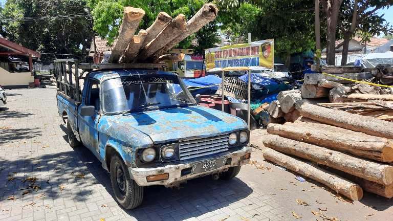 Polsek Bungatan Gagalkan Pembalakan Liar di Hutan Lindung Situbondo
