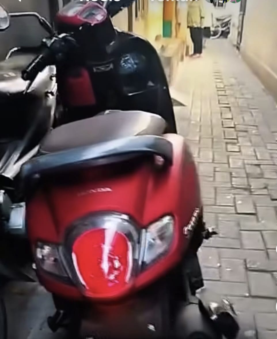 Cerita Scoopy Maudy, Hilang di Kenjeran, Ditemukan Nyala di Gang Bogen Tambaksari