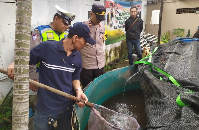 Polsek Semampir Giatkan Dukungan Budi Daya Lele untuk Perkuat Ketahanan Pangan Warga