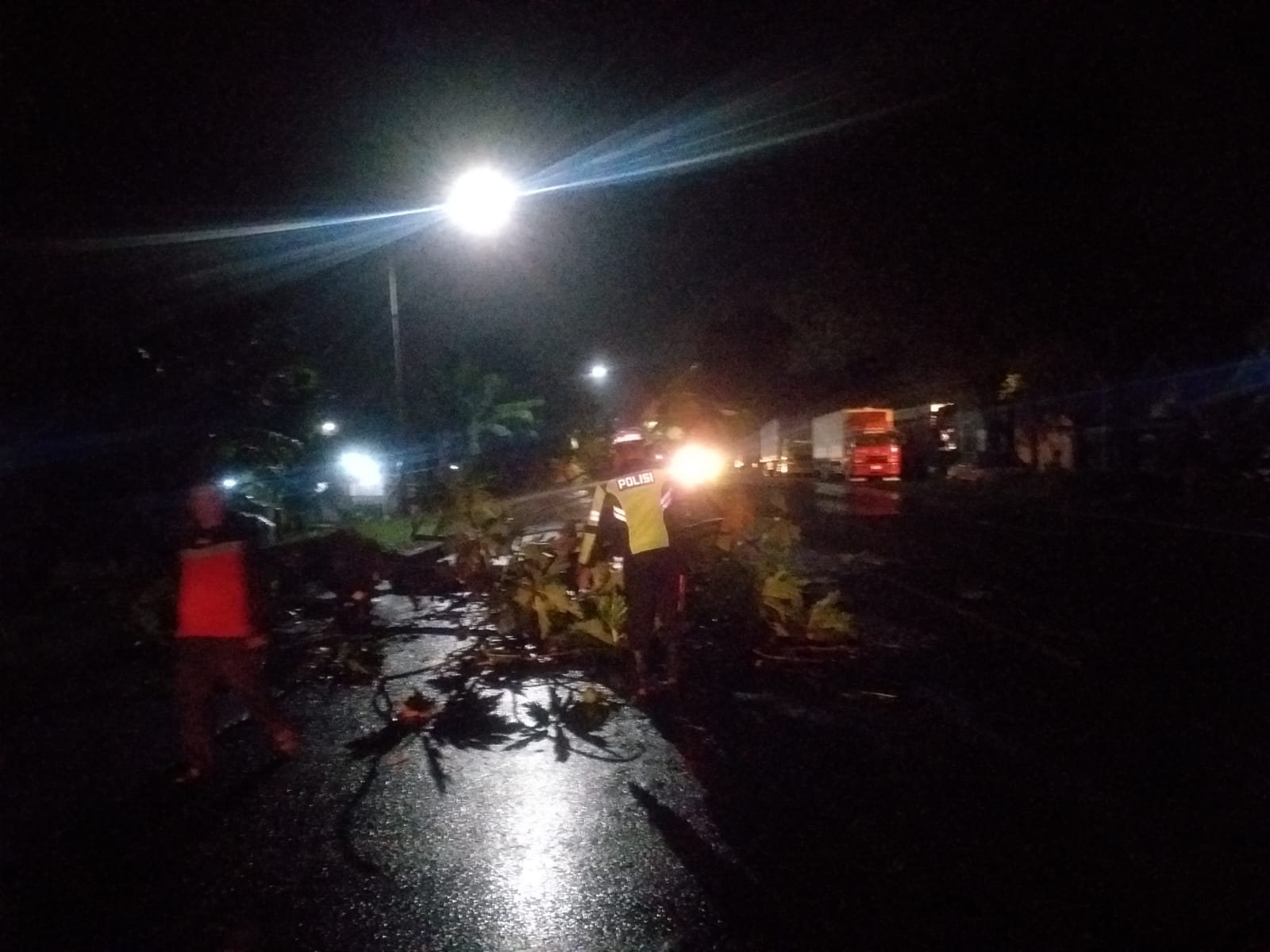 Polsek Balongbendo Evakuasi Pohon Tumbang, Arus Lalu Lintas Kembali Lancar