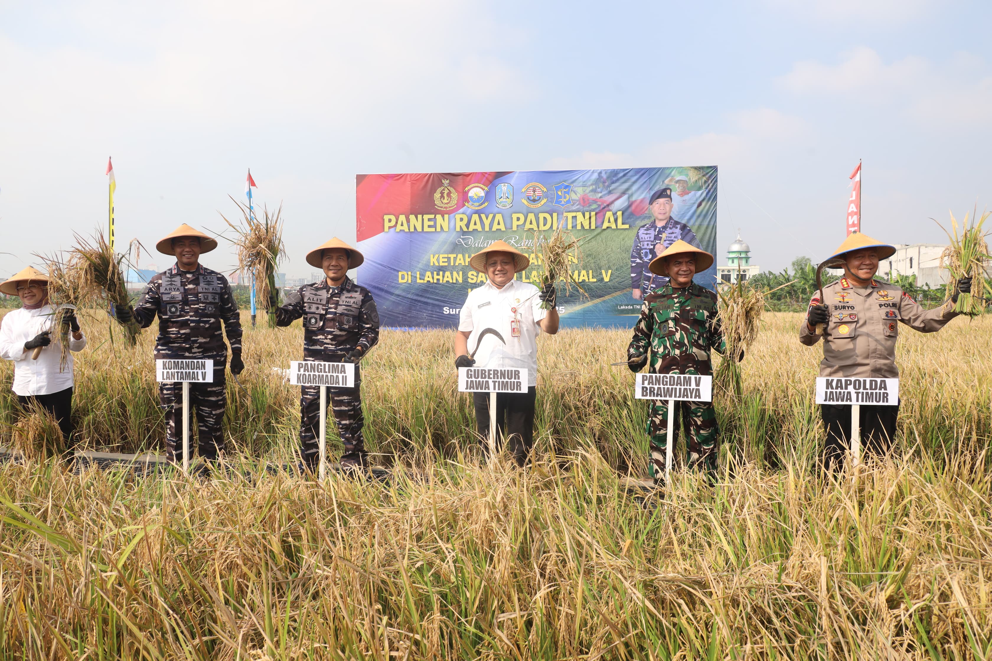 Pemkot Surabaya dan TNI AL Gelar Panen Raya Padi Serentak