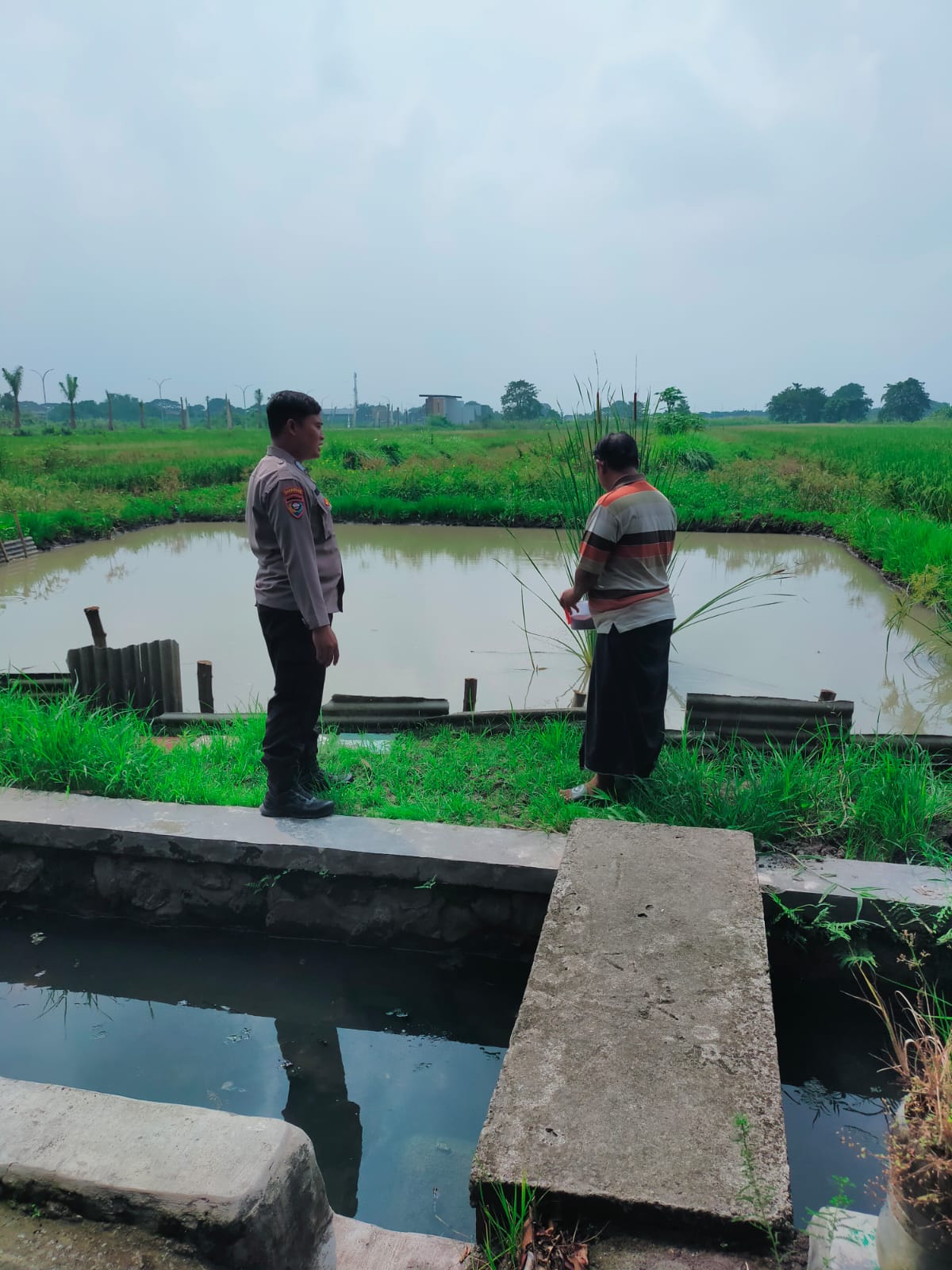 Polsek Sukodono Tinjau Program Ketahanan Pangan Budidaya Ikan Nila Masangan Kulon 
