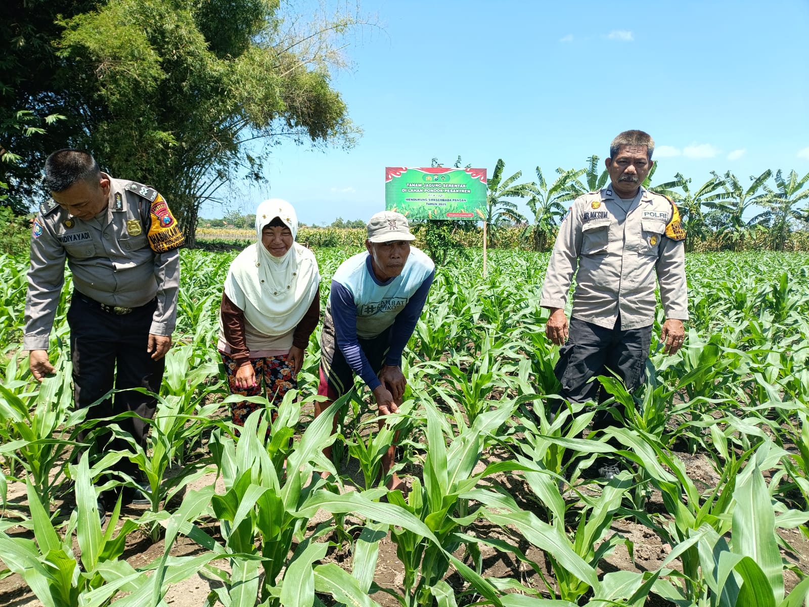 Polsek Balongbendo Dukung Program Ketahanan Pangan Lewat Pekarangan Bergizi