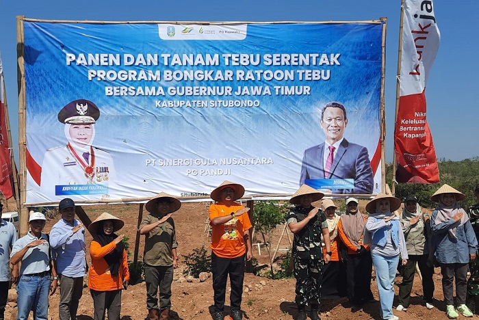 Sukses Capai Target Bongkar Ratoon 2025, Pemkab Situbondo Perluas Area Tanam Tebu